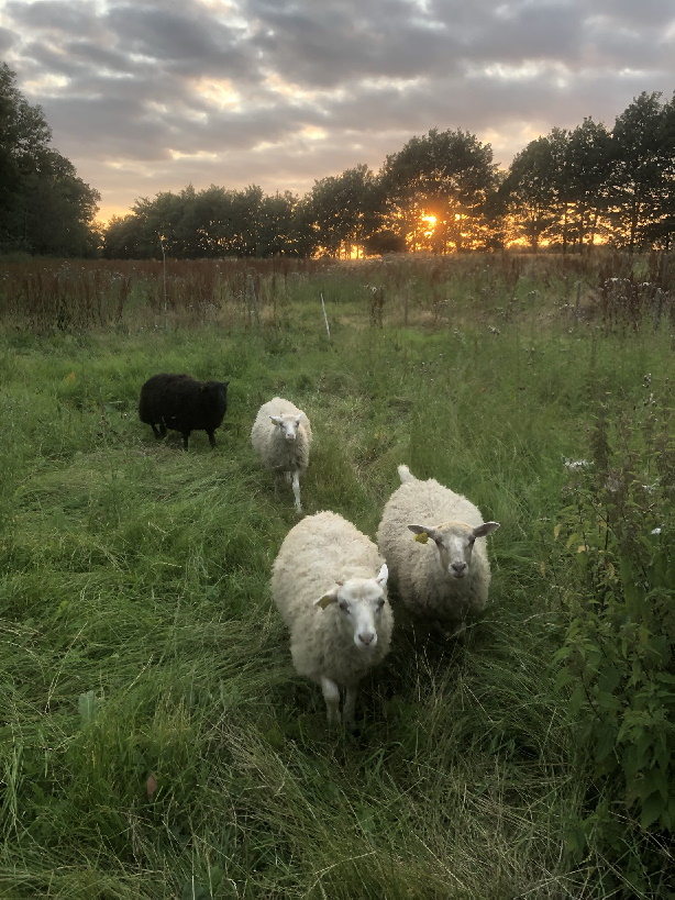 image00043
